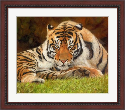 Framed Tiger Stare Print