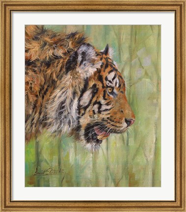 Framed Amur Tiger Profile Print