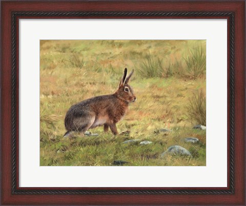 Framed Wild Hare Print