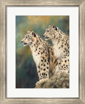 Framed Snow Leopard&#39;s Rock Print