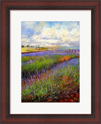 Framed Lavender Field Print