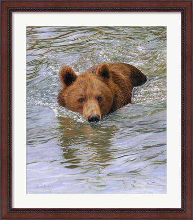 Framed Bear Water Print