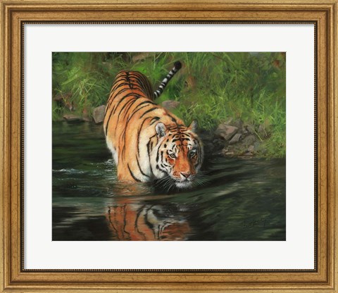 Framed Tiger Entering Water Print