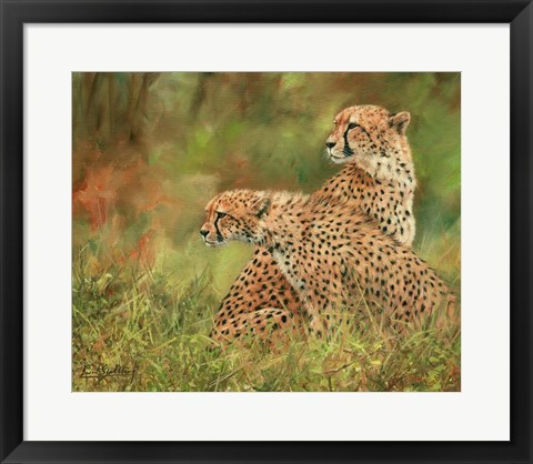 Framed Cheetah Siblings Print