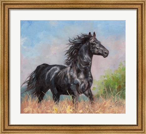 Framed Black Horse Print