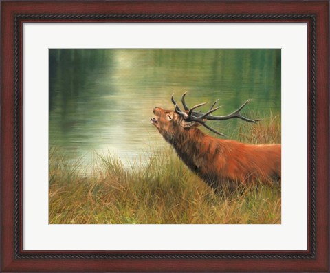 Framed Stag Call Print