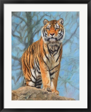 Framed Tiger Dart Print