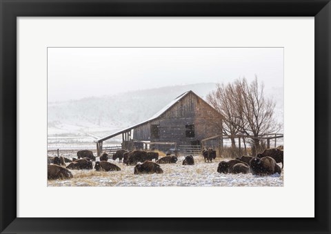 Framed Colorado Barn Print