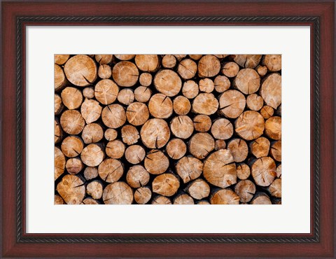 Framed Logs Print