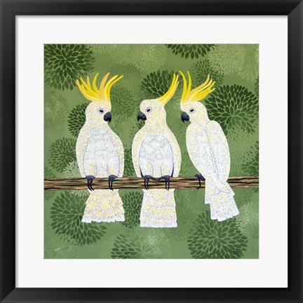 Framed Cockatoo Trio Print