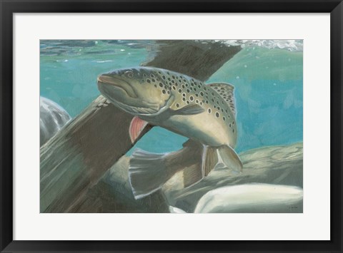 Framed Fresh Catch I Print