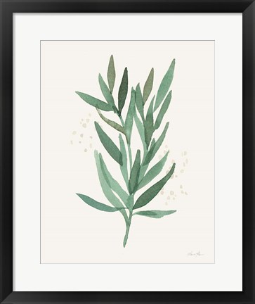 Framed Leaf and Stem VI Print