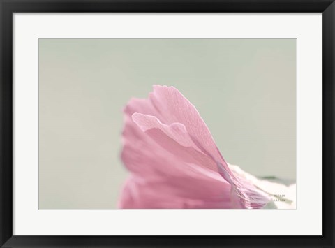 Framed Hollyhock Edge Print