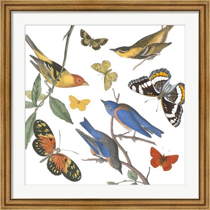 Framed Natures Flight I No Ferns Print