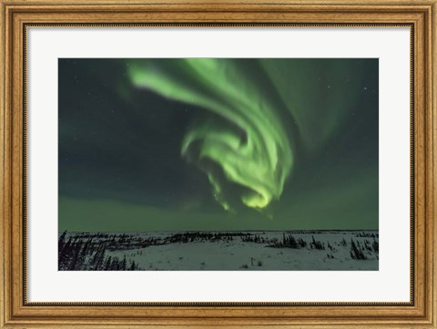 Framed Swirls of Auroral Curtains in the Northeast Sky, Churchill Print