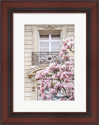 Framed Spring Magnolias in Paris Print