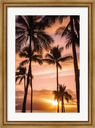 Framed Palm Trees At Sunset Of Maui, Hawaii Print