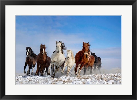 Framed Mongolia Horses Print