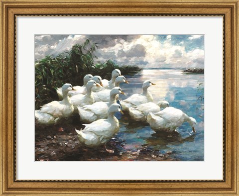 Framed Ducks by the Lake 1 Print