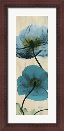 Framed Iceland Poppy Moments Print