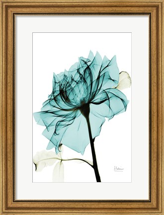 Framed Teal Spirit Rose 2 Print