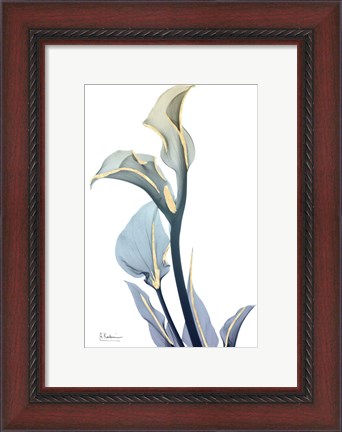 Framed Gold Splash Calla Lily Print