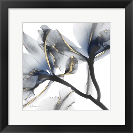 Framed Indigo Luster Cyclamen 2 Print