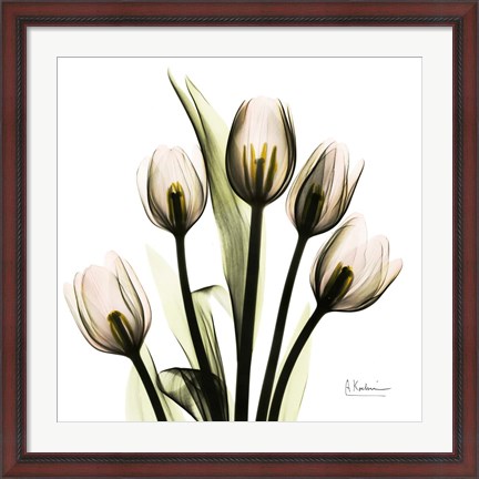 Framed Tulip Print