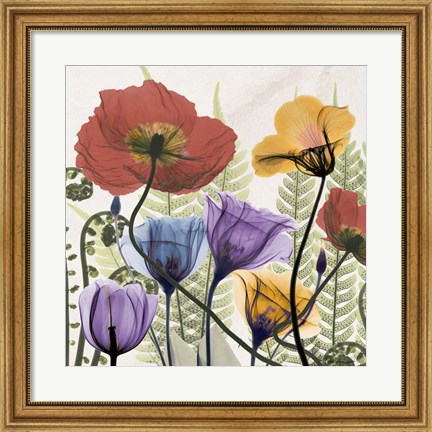 Framed Flowers And Ferns Print