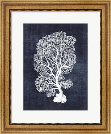 Framed Sea Fan 1 Print