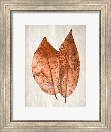Framed Copper Leaves 2 Print