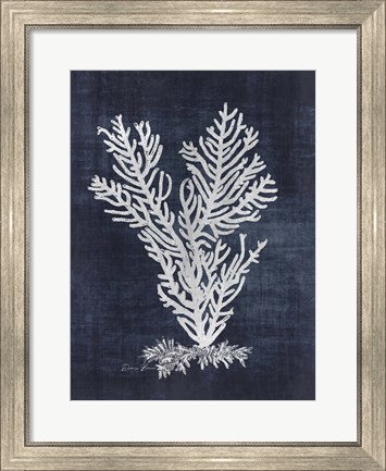 Framed Sea Fan 2 Print