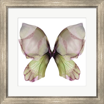 Framed Floral Butterfly 1 Print