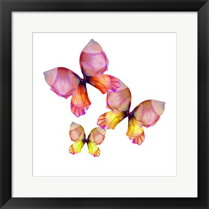 Framed Floral Butterfly Trio Print