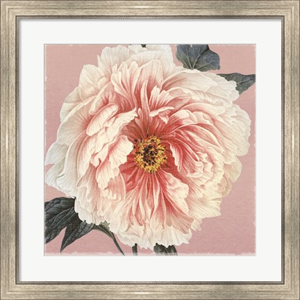 Framed Spring Eden Peony Print