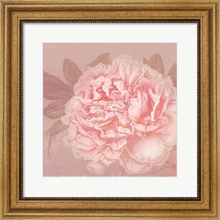 Framed Spring Eden Peony 2 Print