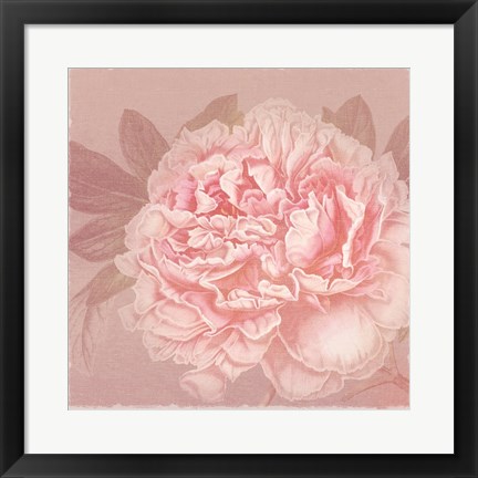 Framed Spring Eden Peony 2 Print