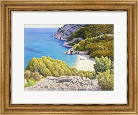 Framed Caletta assolata Print