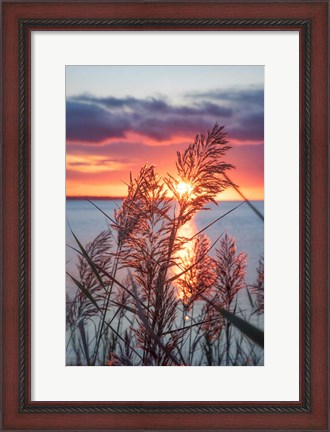 Framed Exhilarated Potential Print