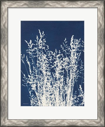 Framed Ornamental Grass I Print