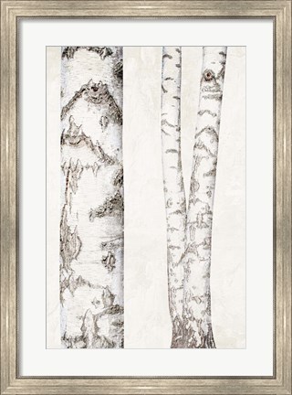 Framed Birches 2 Print