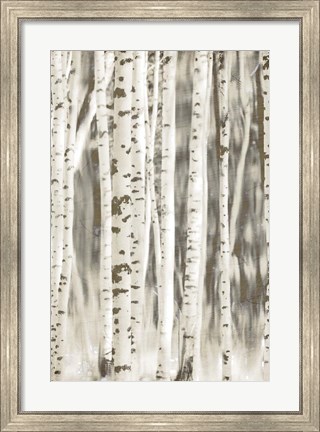 Framed Birches 2 Print