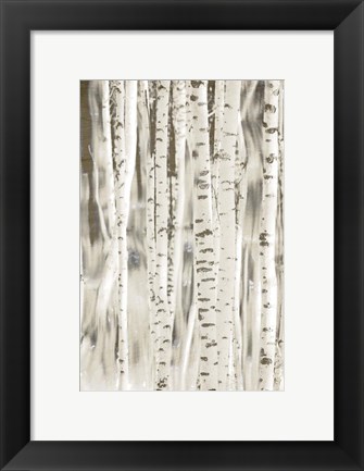 Framed Birches 3 Print