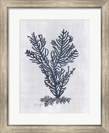 Framed Sea Fan 2 v2 Print