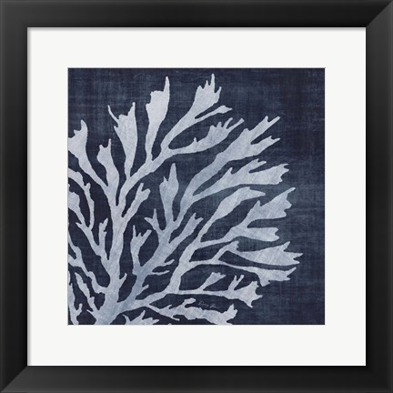 Framed Seaweed 2 Print