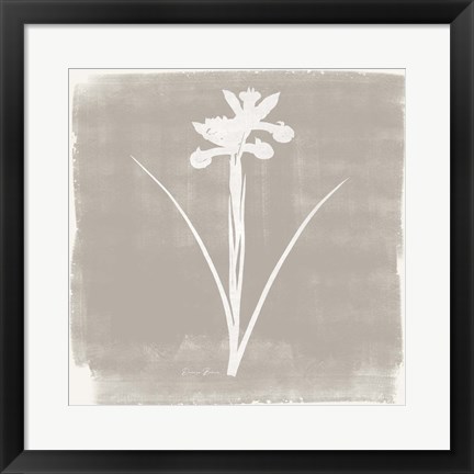 Framed Sophisticated Floral 4 Print