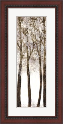 Framed Wooded Grove 1 Print