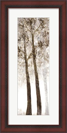 Framed Wooded Grove 2 Print