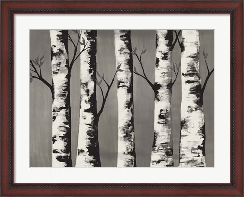 Framed Birch Backwoods Print