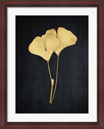 Framed Midas Ginkgo 1 Print